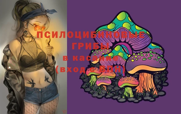 mdma Козловка