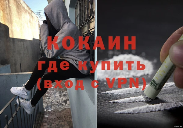 трава Кодинск
