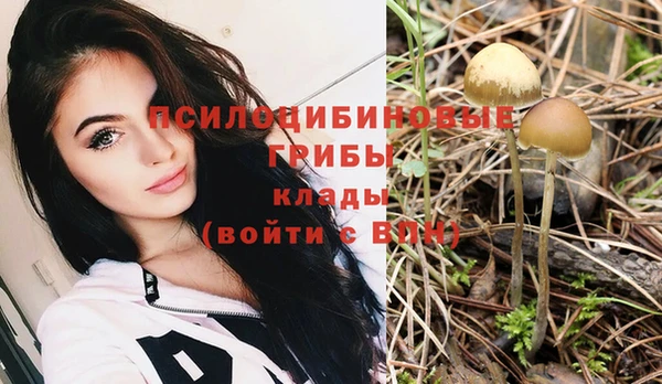 мет Козельск