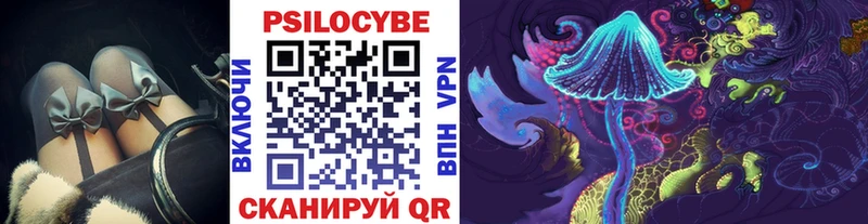 Купить  Чебоксары  Псилоцибиновые грибы Psilocybine cubensis 