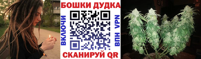 Купить где  Чебоксары  Шишки марихуана марихуана 